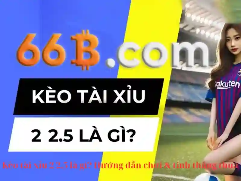 Khái niệm về 66b