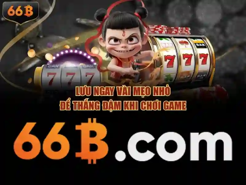 66B là gì và tại sao lại quan trọng