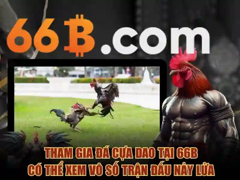 Ứng dụng và thách thức