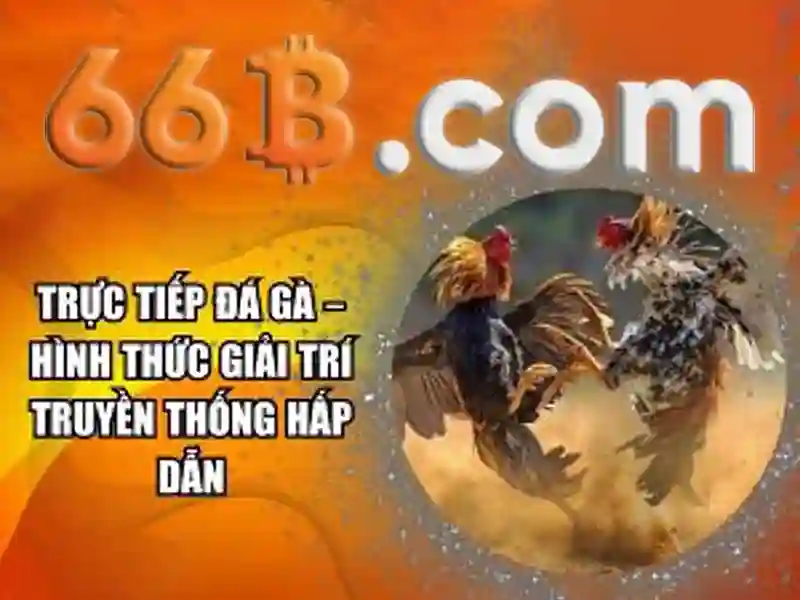 Lợi ích khi biết kích thước 66B khi mua sắm