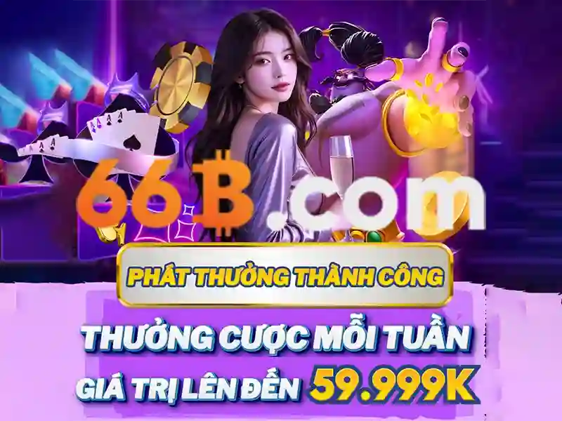 66B là gì