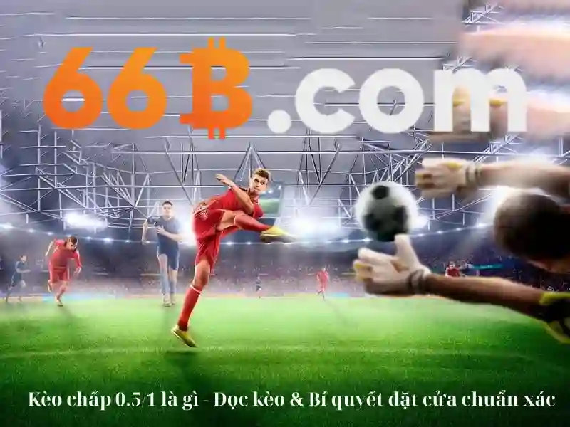 Kiến trúc và quy mô