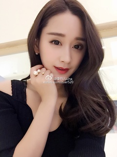 Li Wenzhao () profile